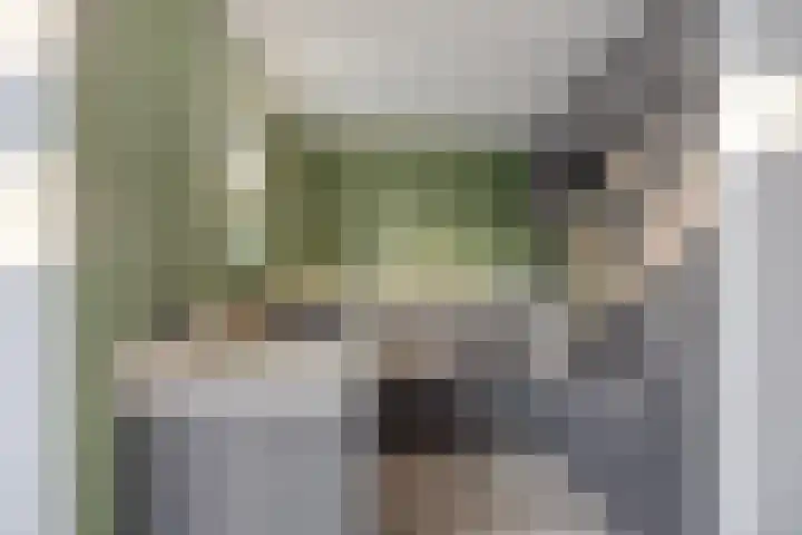Roerdomphorst 29 Grave thumbnail 10