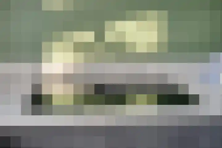 Roerdomphorst 29 Grave thumbnail 11