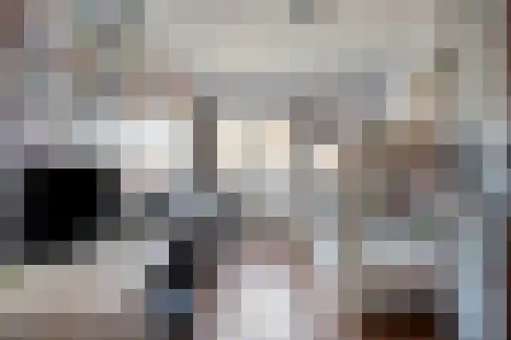 Roerdomphorst 29 Grave thumbnail 18