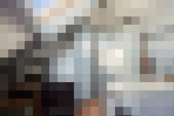 Roerdomphorst 29 Grave thumbnail 27