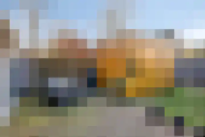 Roerdomphorst 29 Grave thumbnail 28