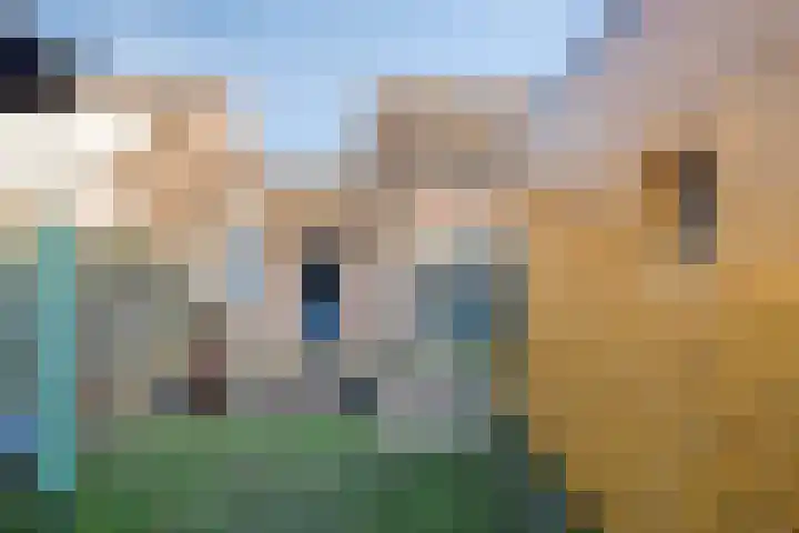 Roerdomphorst 29 Grave thumbnail 32