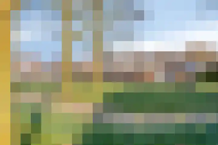 Roerdomphorst 29 Grave thumbnail 34