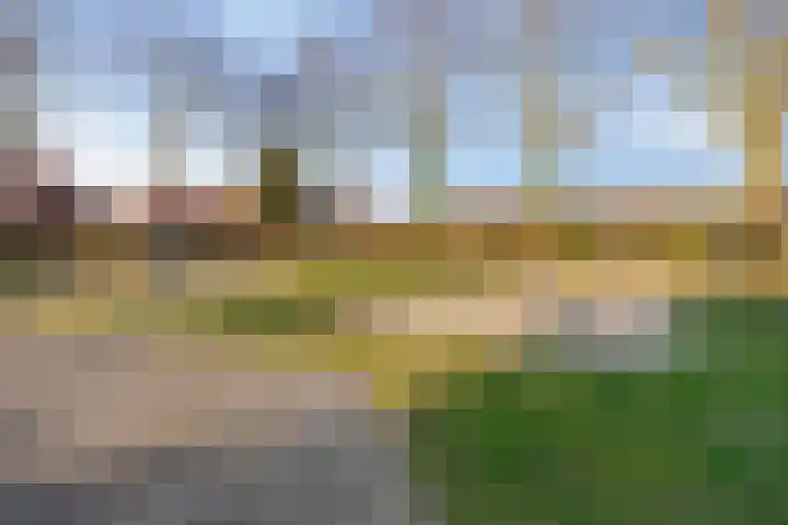 Roerdomphorst 29 Grave thumbnail 35