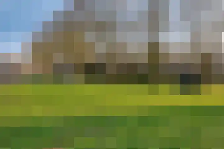 Roerdomphorst 29 Grave thumbnail 36