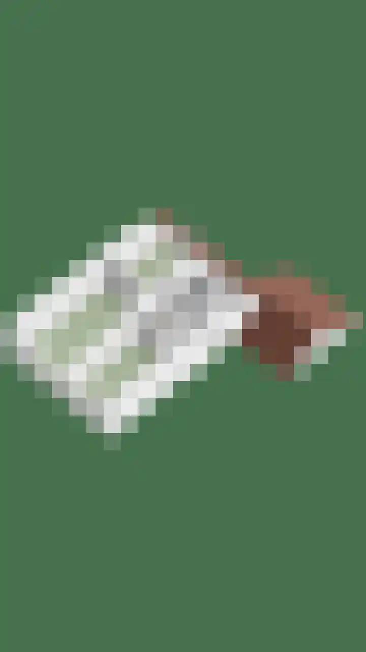Roerdomphorst 29 Grave thumbnail 40