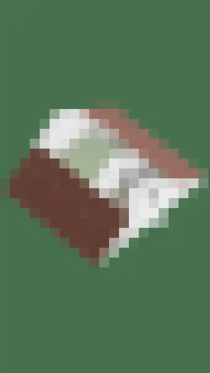 Roerdomphorst 29 Grave thumbnail 42