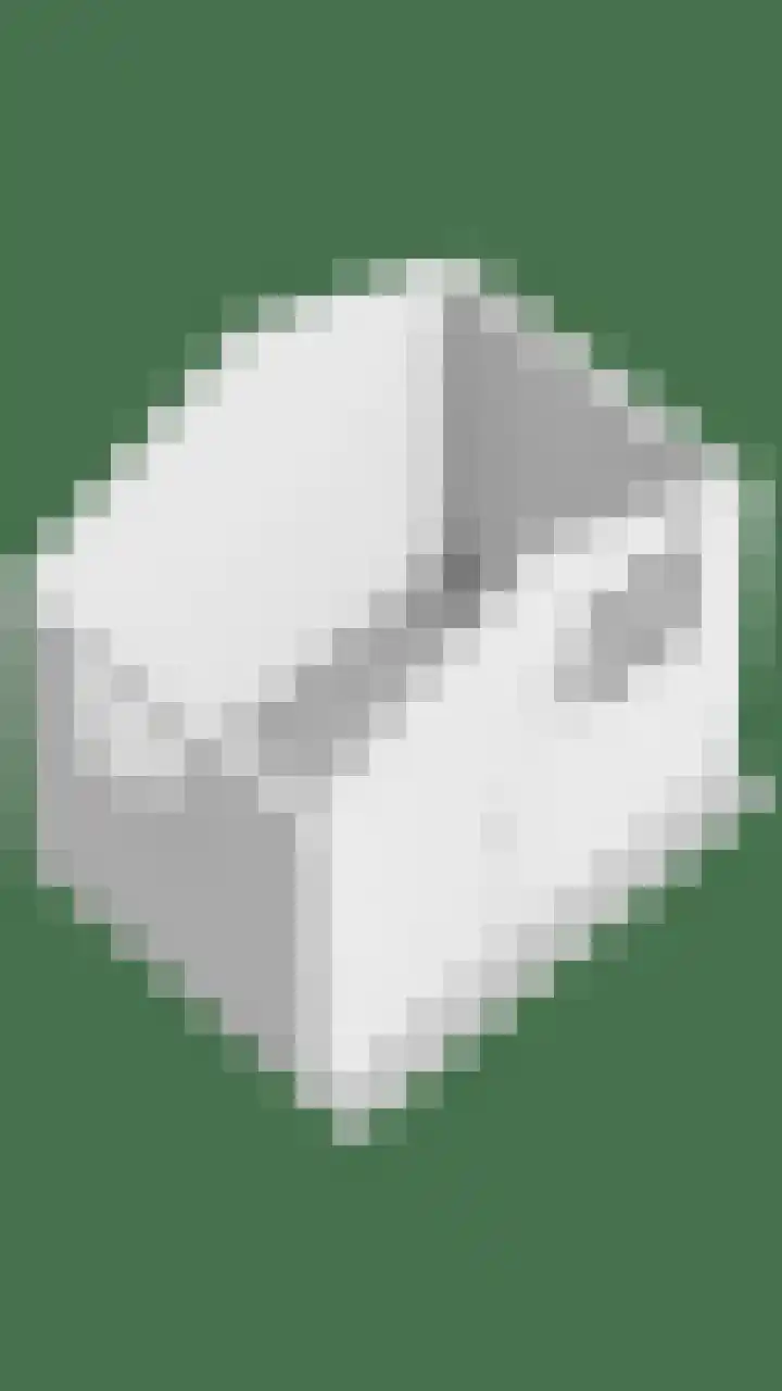 Roerdomphorst 29 Grave thumbnail 46