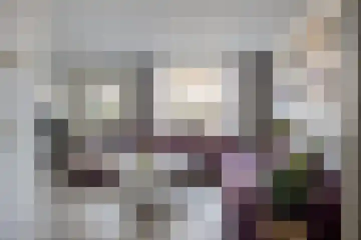 Roerdomphorst 29 Grave thumbnail 7