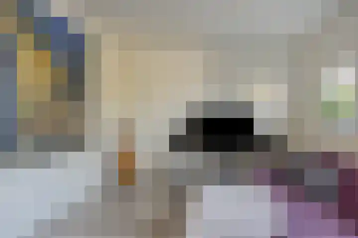 Roerdomphorst 29 Grave thumbnail 8