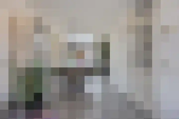 Roerdomphorst 29 Grave thumbnail 9