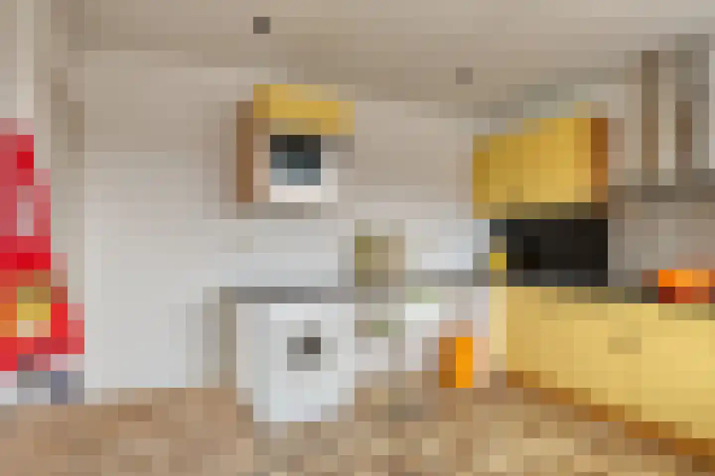 Roerdomplaan 1 Arnhem thumbnail 17