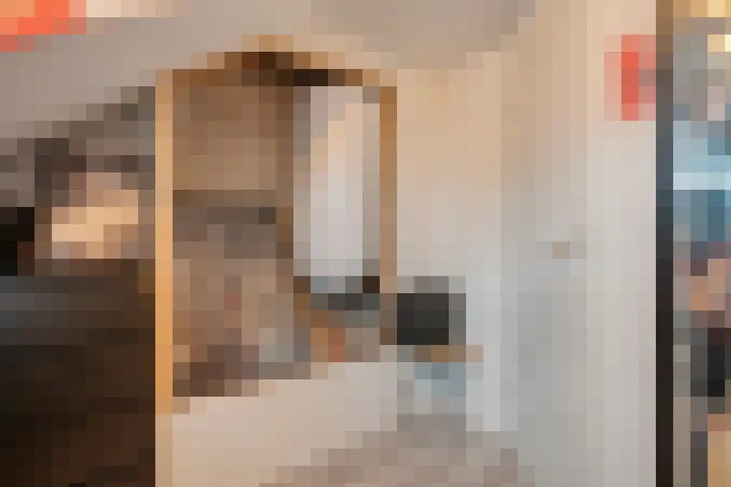 Roerdomplaan 103 Hoogeveen thumbnail 35