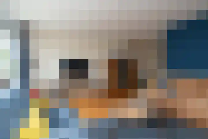 Roerdomplaan 104 Hoogeveen thumbnail 13