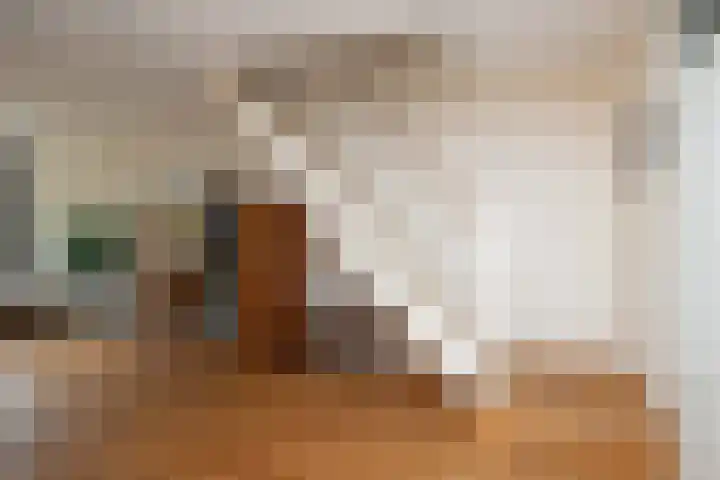 Roerdomplaan 104 Hoogeveen thumbnail 21