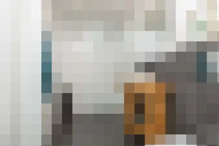 Roerdomplaan 104 Hoogeveen thumbnail 31
