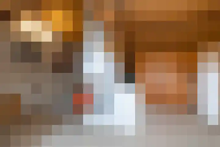 Roerdomplaan 104 Hoogeveen thumbnail 36