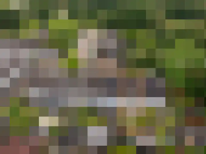 Roerdomplaan 104 Hoogeveen thumbnail 37