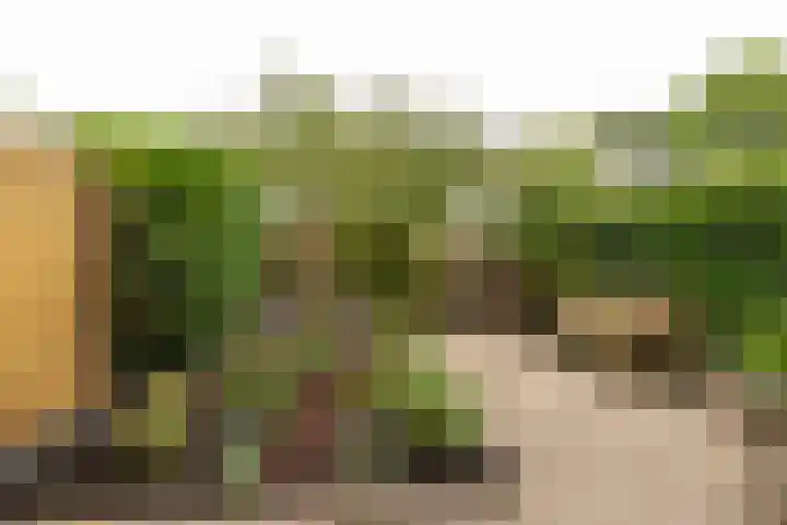 Roerdomplaan 104 Hoogeveen thumbnail 38