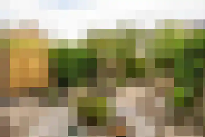 Roerdomplaan 104 Hoogeveen thumbnail 39