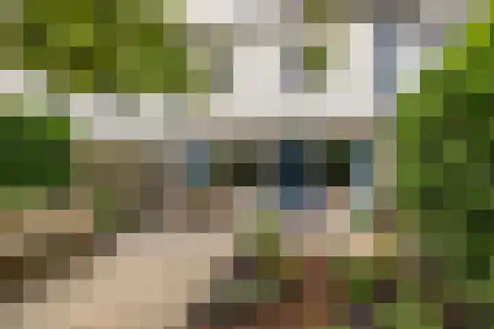 Roerdomplaan 104 Hoogeveen thumbnail 4