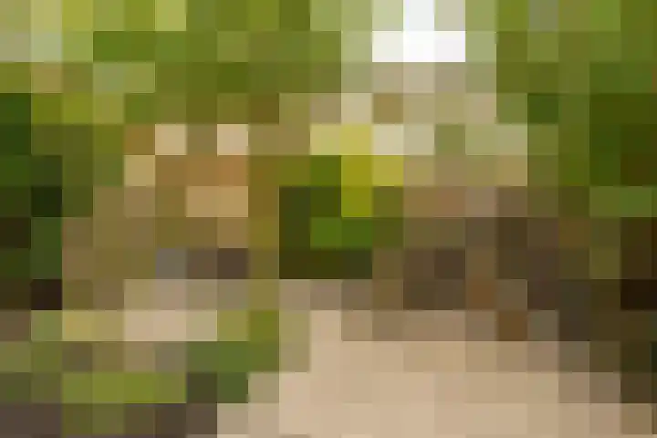 Roerdomplaan 104 Hoogeveen thumbnail 40