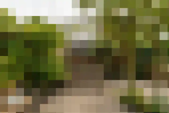 Roerdomplaan 104 Hoogeveen thumbnail 41