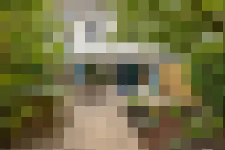 Roerdomplaan 104 Hoogeveen thumbnail 42