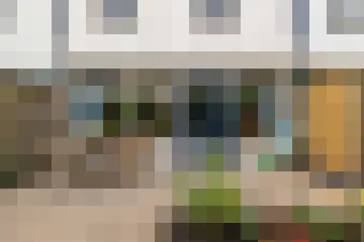 Roerdomplaan 104 Hoogeveen thumbnail 43