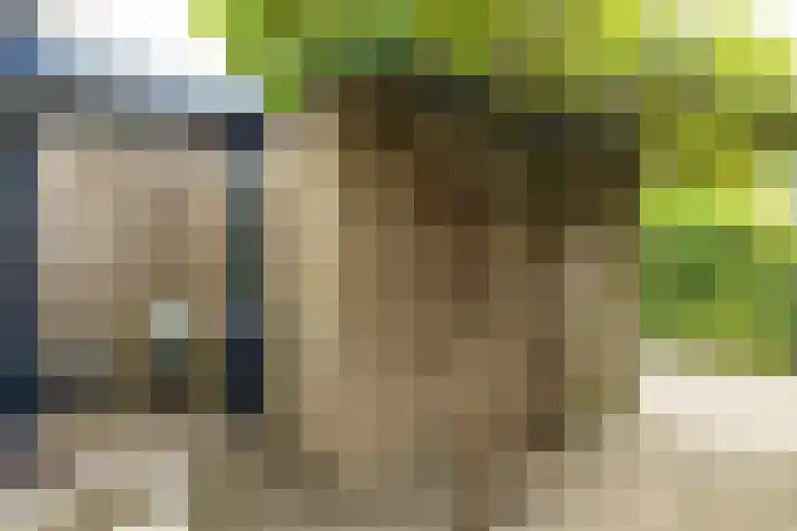 Roerdomplaan 104 Hoogeveen thumbnail 44