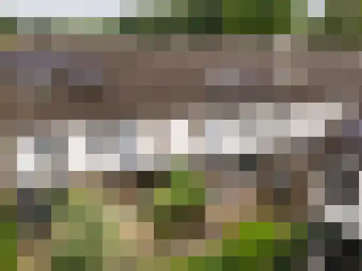 Roerdomplaan 104 Hoogeveen thumbnail 46