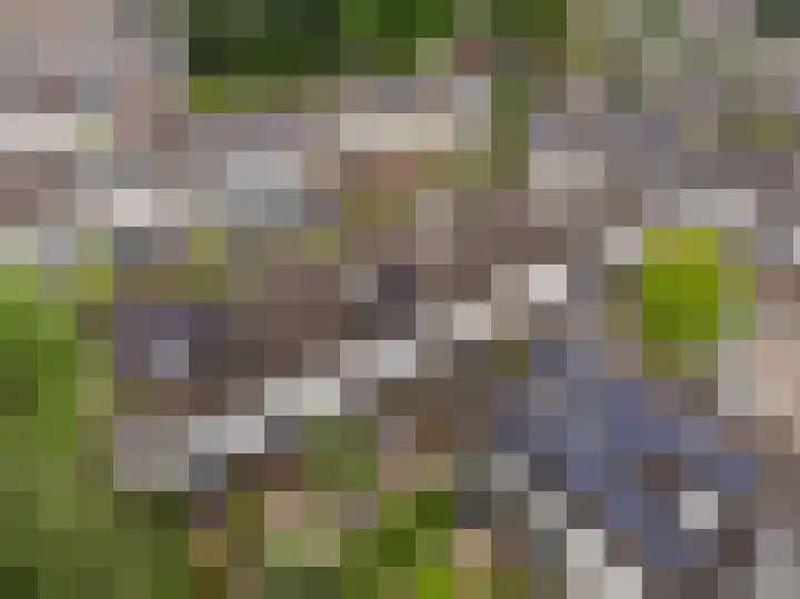 Roerdomplaan 104 Hoogeveen thumbnail 47