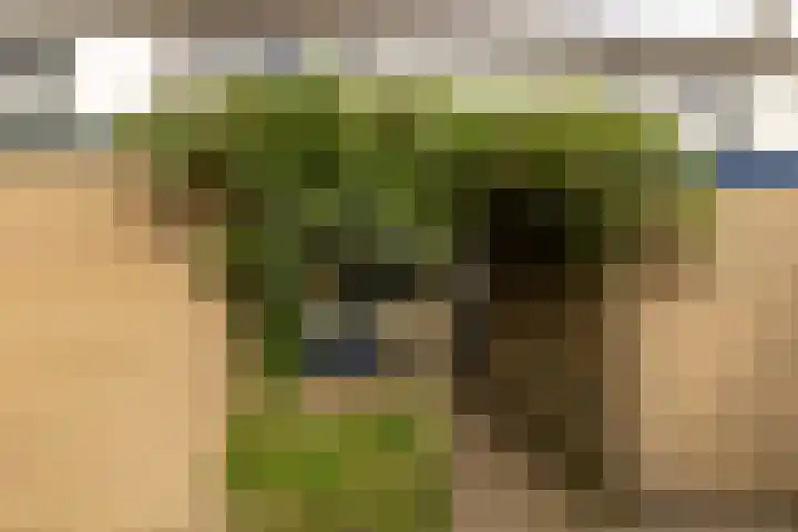 Roerdomplaan 104 Hoogeveen thumbnail 48