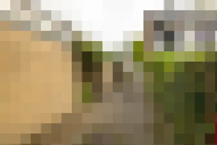 Roerdomplaan 104 Hoogeveen thumbnail 49