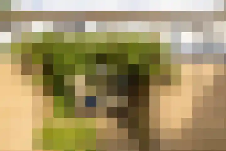 Roerdomplaan 104 Hoogeveen thumbnail 5