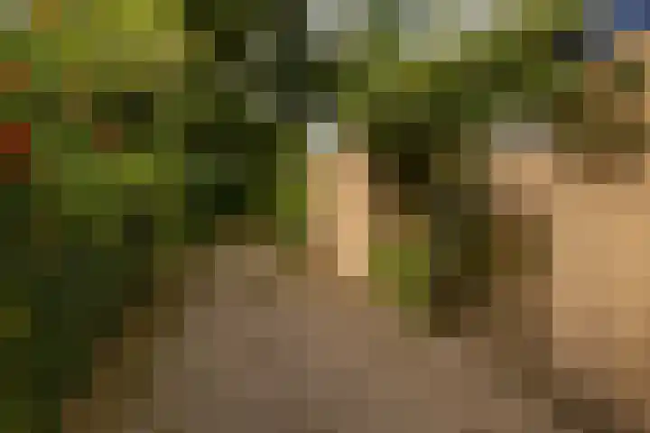 Roerdomplaan 104 Hoogeveen thumbnail 50