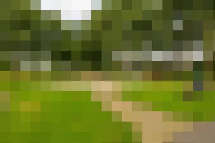 Roerdomplaan 104 Hoogeveen thumbnail 51