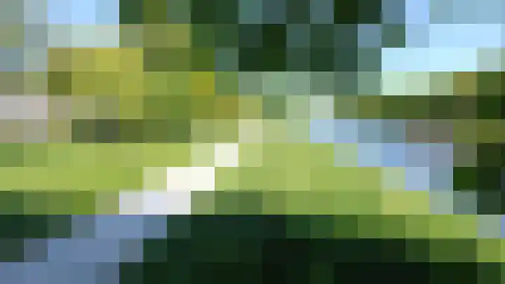 Roerdomplaan 104 Hoogeveen thumbnail 52