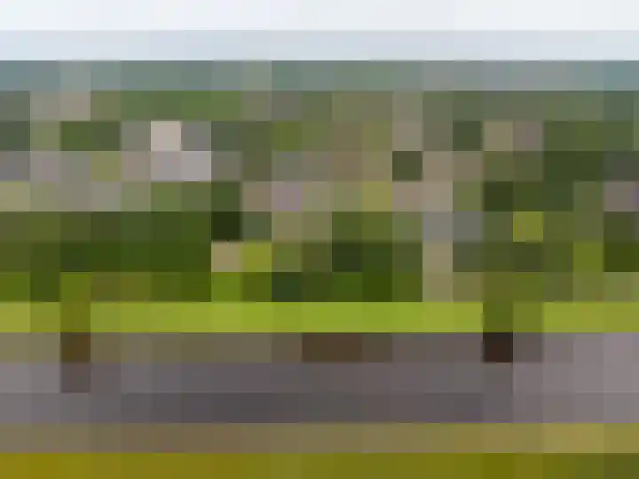 Roerdomplaan 104 Hoogeveen thumbnail 53