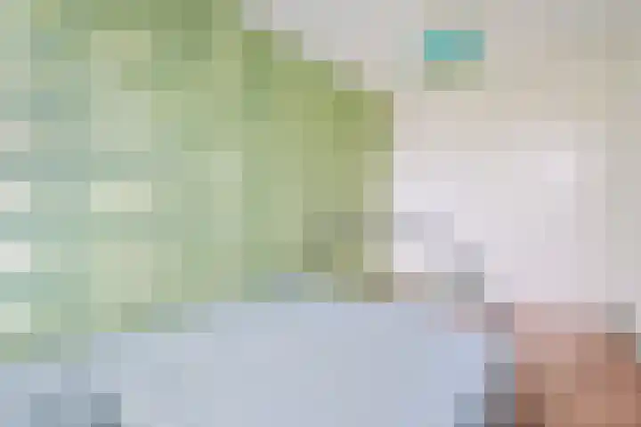 Roerdomplaan 111 Hoogeveen thumbnail 19