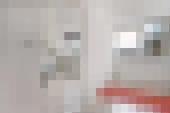 Roerdomplaan 111 Hoogeveen thumbnail 27