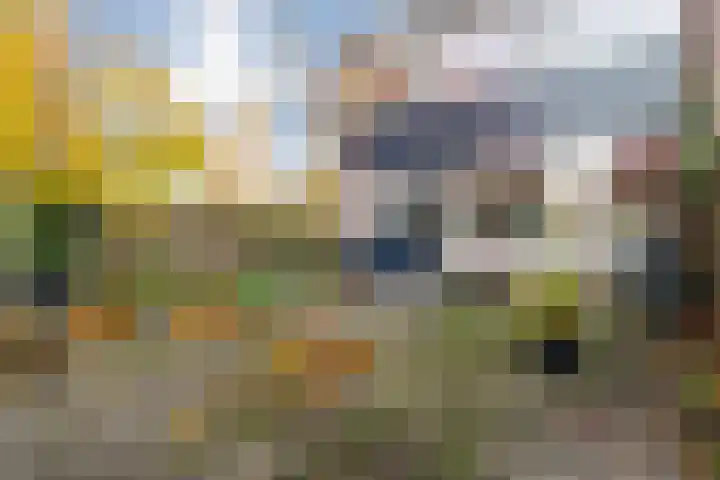 Roerdomplaan 111 Hoogeveen thumbnail 29
