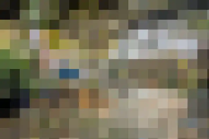 Roerdomplaan 111 Hoogeveen thumbnail 30