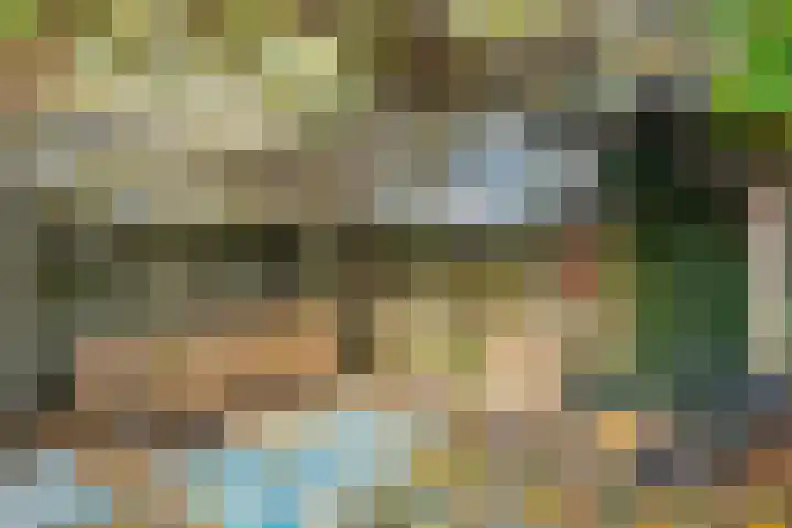 Roerdomplaan 111 Hoogeveen thumbnail 33