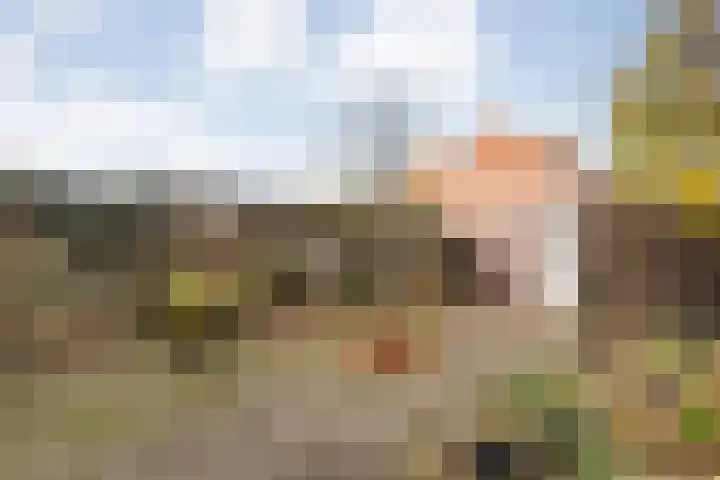 Roerdomplaan 111 Hoogeveen thumbnail 34