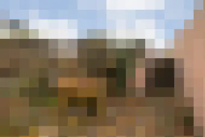 Roerdomplaan 111 Hoogeveen thumbnail 35