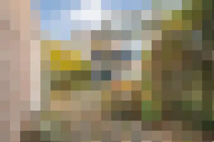 Roerdomplaan 111 Hoogeveen thumbnail 37