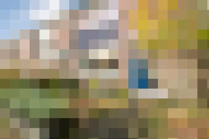 Roerdomplaan 111 Hoogeveen thumbnail 41