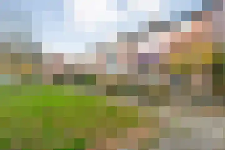 Roerdomplaan 111 Hoogeveen thumbnail 44