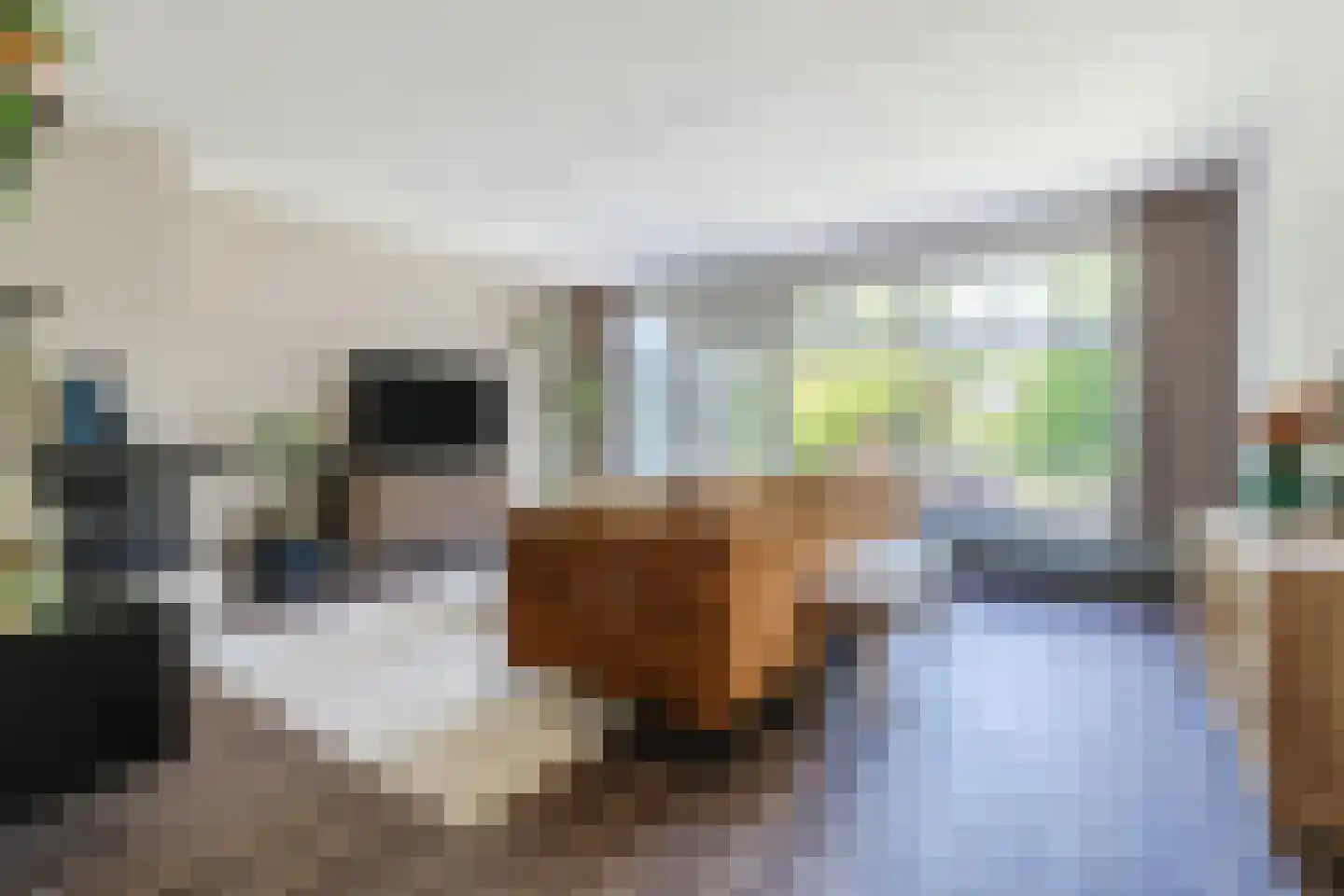 Roerdomplaan 124 Hoogeveen thumbnail 11